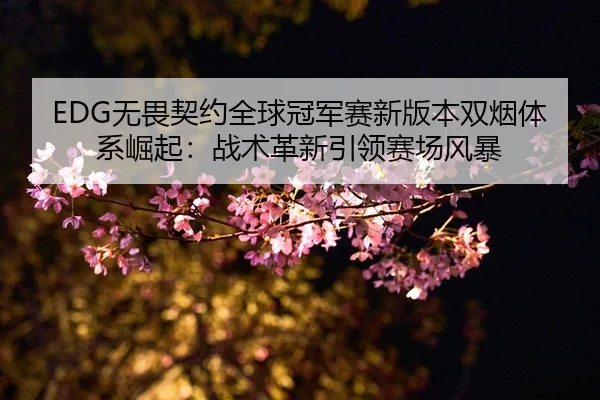 EDG无畏契约全球冠军赛新版本双烟体系崛起：战术革新引领赛场风暴