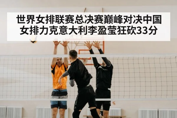 volleyball spike net
